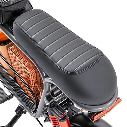 iScooter DX5 Electric Scooter