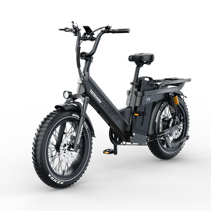 Tesway X5 Pro